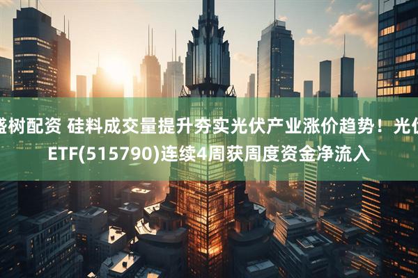 盛树配资 硅料成交量提升夯实光伏产业涨价趋势！光伏ETF(515790)连续4周获周度资金净流入