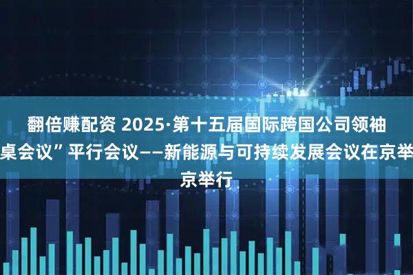 翻倍赚配资 2025·第十五届国际跨国公司领袖圆桌会议”平行会议——新能源与可持续发展会议在京举行