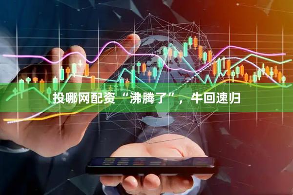 投哪网配资 “沸腾了”，牛回速归